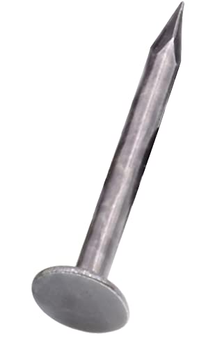 Design61 Kammzwecken 1,7 x 20 mm Nagel Nägel Großer Rundkopf Lange Scharfe Spitzen gebläut 100g ca. 230 Stück