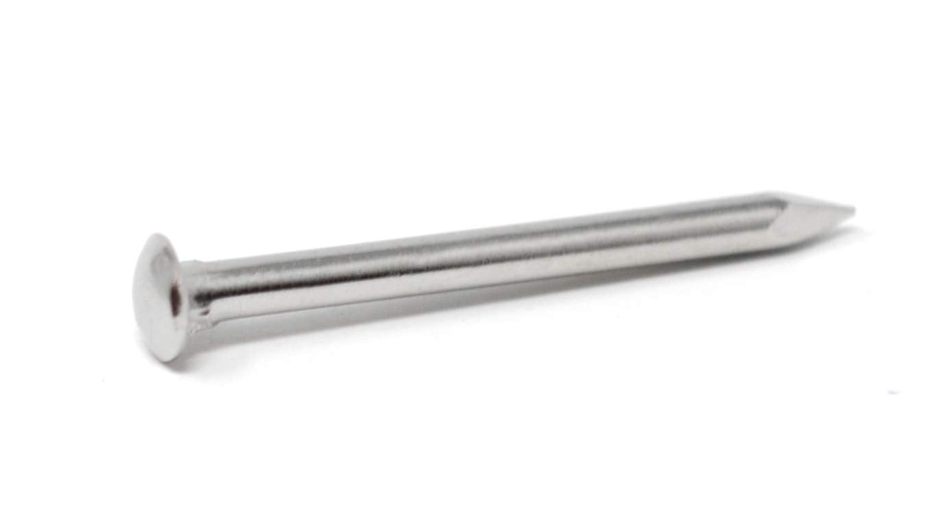 Design61 Halbrundkopfstifte Nägel Nagel 1,6 x 20 mm Messing vernickelt 100gr (ca.280 Stück)