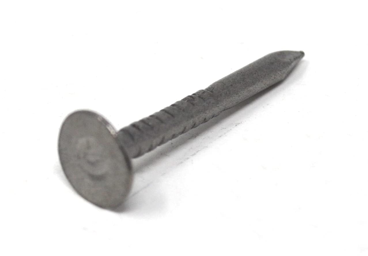 Design61 Gurtstifte 2,0x 20 mm Nagel Nägel Großer Rundkopf Lange Scharfe Spitzen gebläut 100g ca. 170 Stück