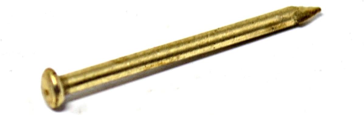 Design61 Rundkopfstifte Nägel Nagel 2,5 x 30 mm Eisen vermessingt 100g ca. 80 Stück