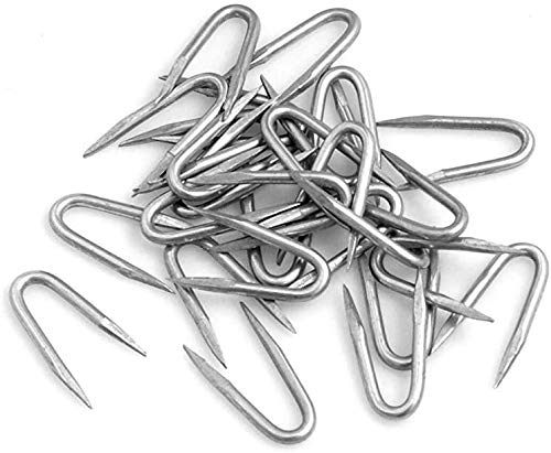 Design61 Steel Staples 20/22 galvanized Extra Sharp 100 grams (approx. 100 pieces) Blue Galvanized