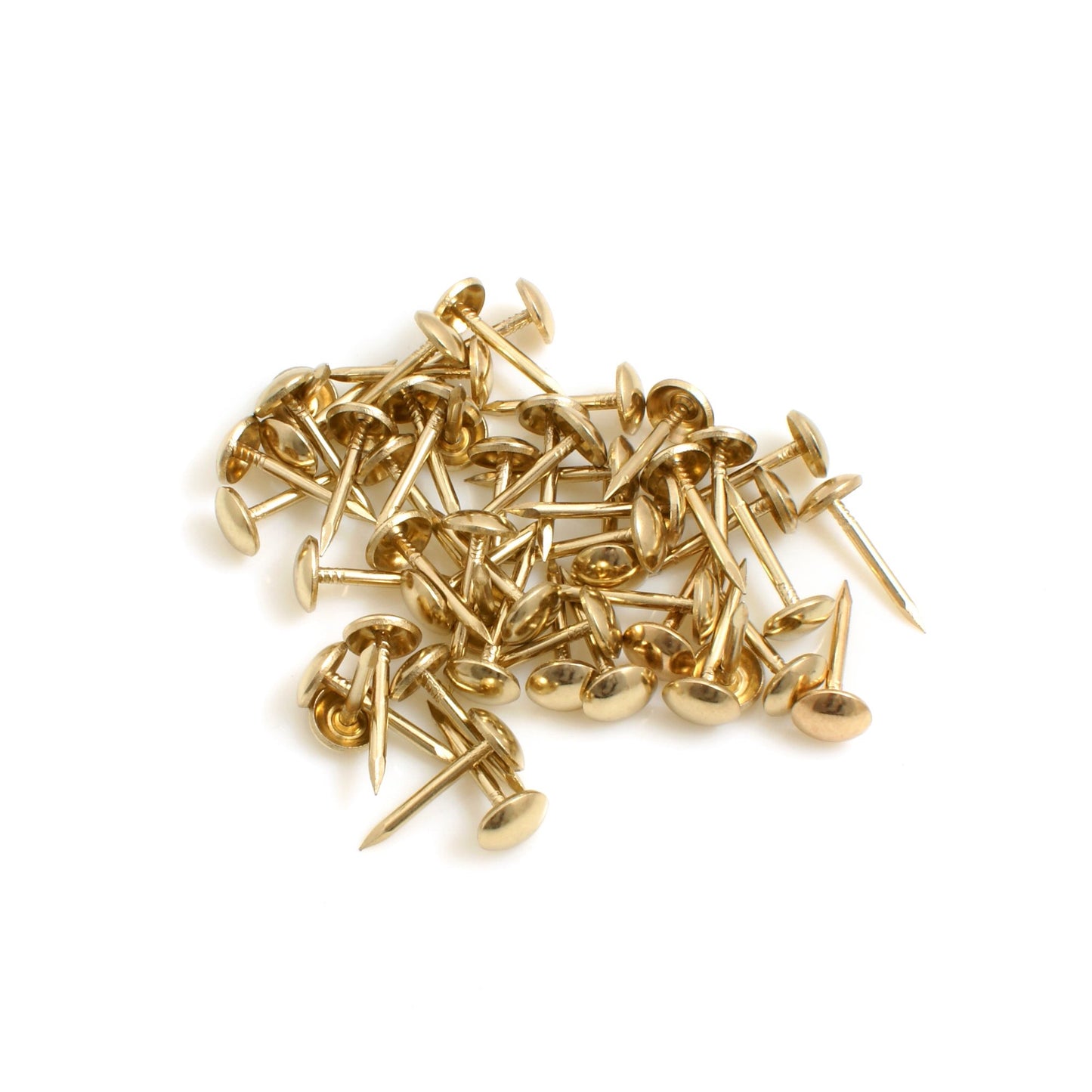 Design61 50x Teppichnägel Teppichnagel Ø 3 x L 50 mm Eisen vermessingt