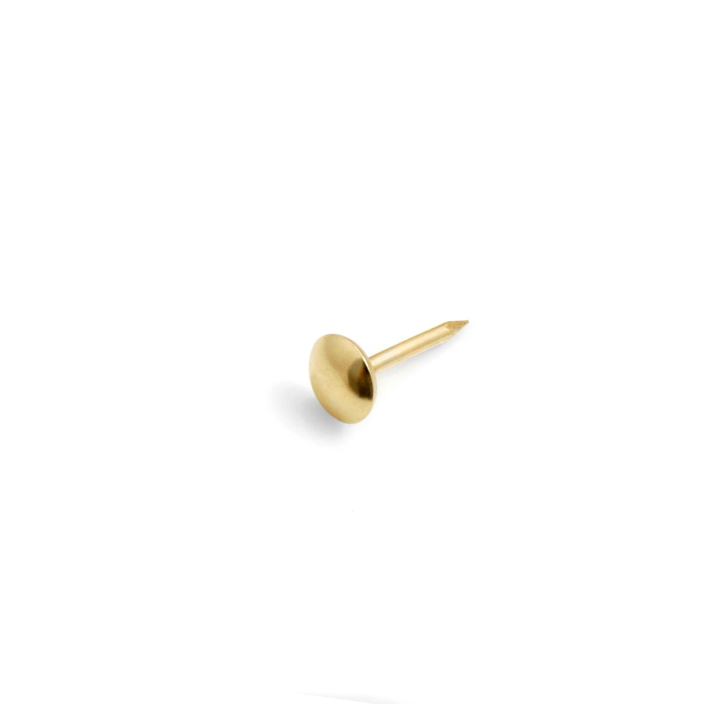 Design61 50x carpet nails carpet nail Ø 3 x L 50 mm iron brass-plated