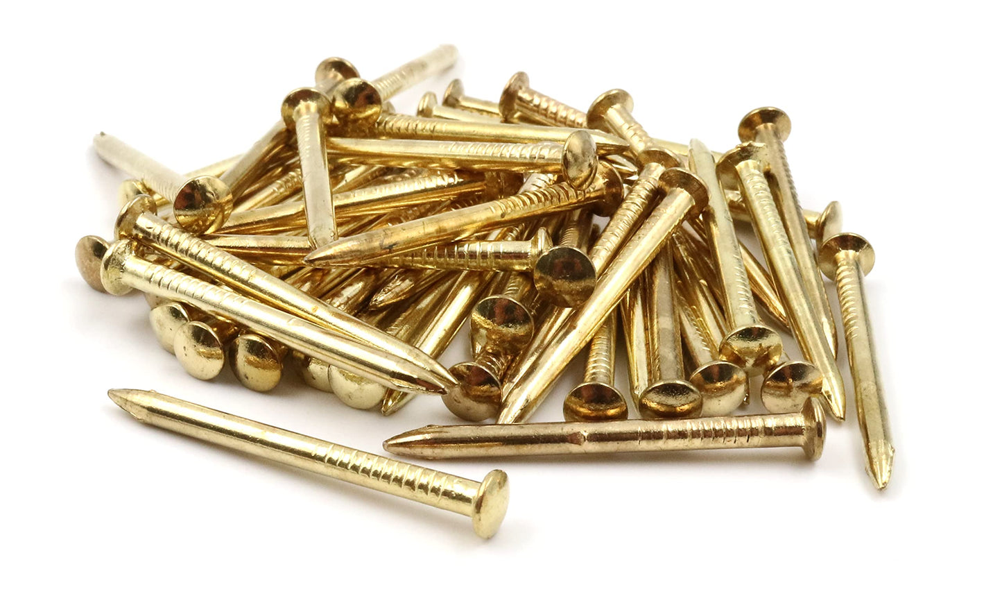 Design61 50x steel pins steel nails skirting board pins nail 2.5 x 40 mm lens head brass plated