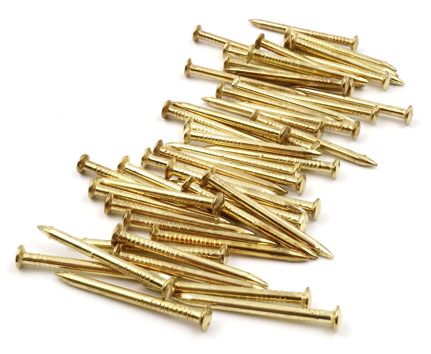 Design61 50x steel pins steel nails skirting board pins nail 2.5 x 40 mm lens head brass plated